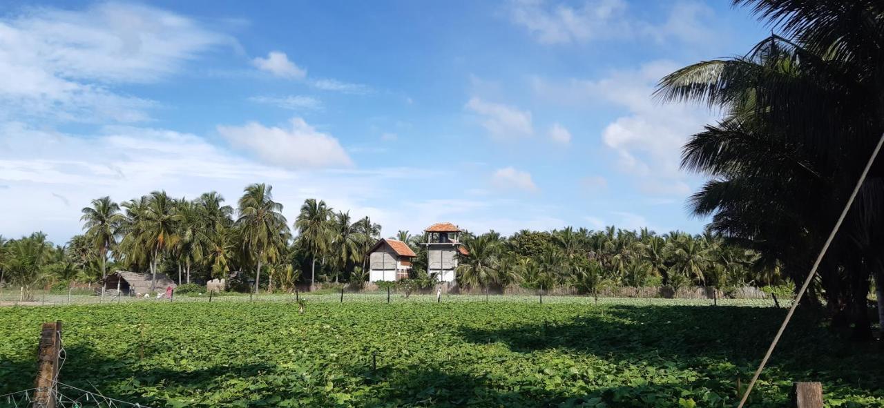 Agro Village Resort , Kalpitiya Extérieur photo