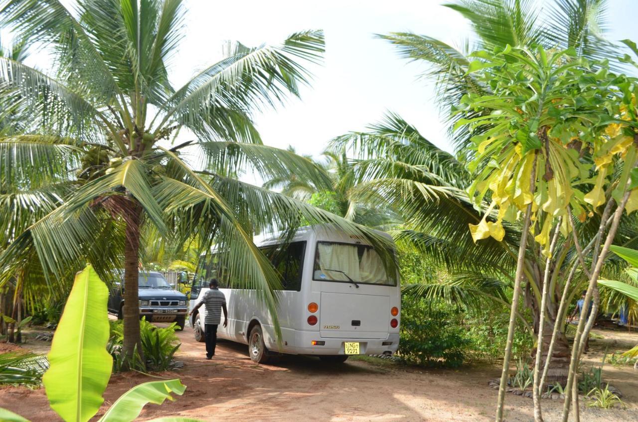 Agro Village Resort , Kalpitiya Extérieur photo